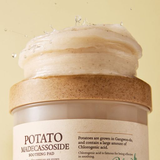 SKINFOOD Potato Madecassoside Soothing Korongok 250g (60db)