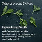 BLITHE Pressed Szérum Krém - Crystal Iceplant 50ml