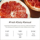 HETRAS Find Nature Here Premium Aroma Diffúzor - Grapefruit 500mlx2db