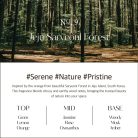 HETRAS Find Nature Here Premium Aroma Diffúzor - Jeju Saryeoni Forest 500mlx2db