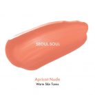 AMUSE Dew Ajak Tint 09 Seoul Soul 4g