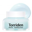 TORRIDEN Dive-In Low Molecule Hyaluronic Acid Soothing Cream 100ml