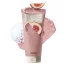 WHIPPED Vegan Pack Arctisztító - Muhwabutter mini 25g